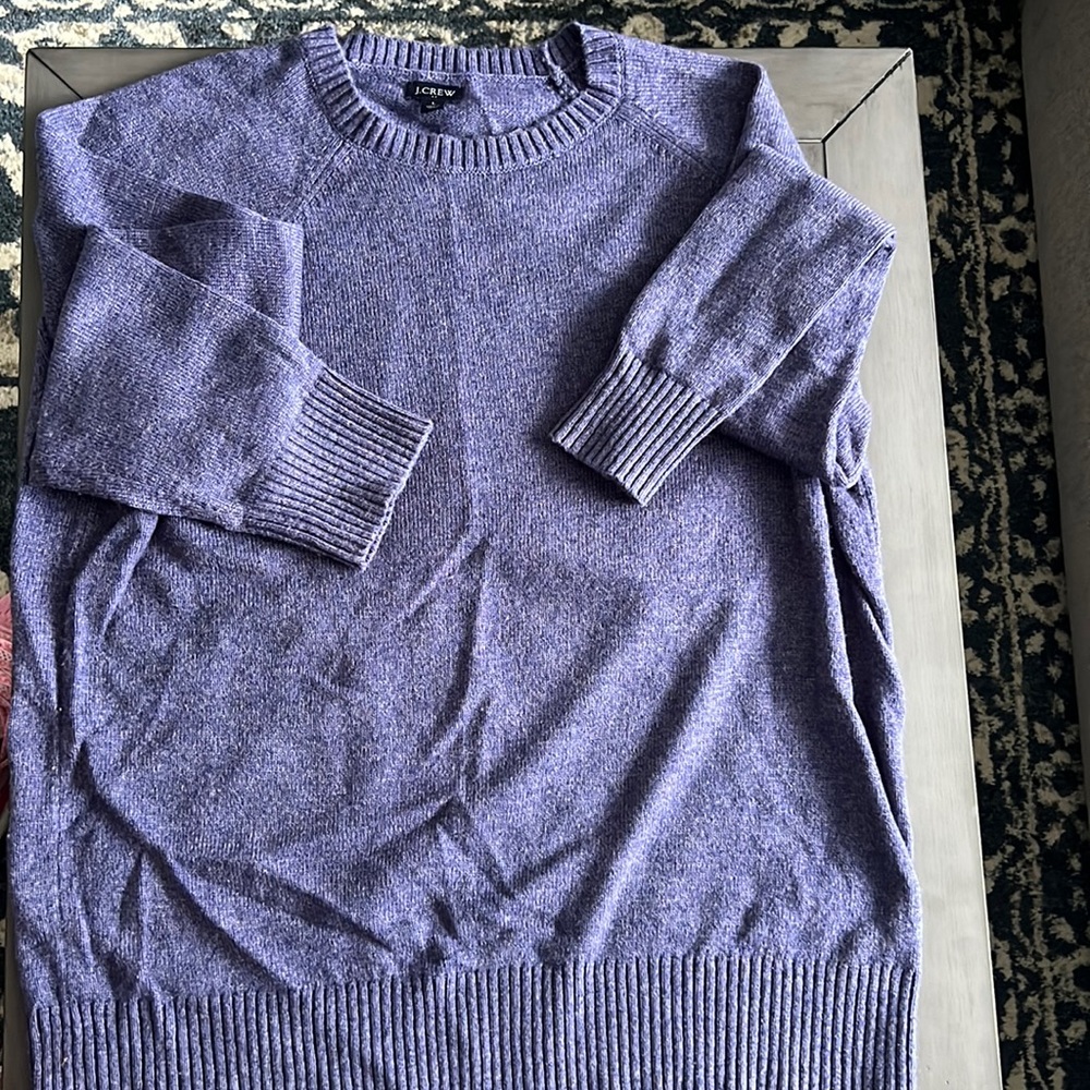 Size: L Jcrew sweatshirt